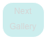 Next
Gallery