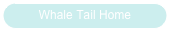 Whale Tail Home
