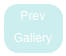 Prev
Gallery